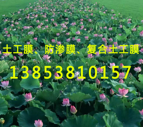 魚塘防滲膜
